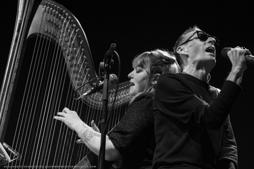 Mauro Ermanno Giovanardi e Cecilia - Circolo della Musica 17/11/2023